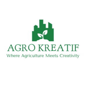 Studio Desain